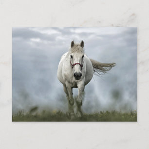 Cartão Postal Foto da Nuvem Bonito de Cavalo Branco