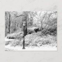 Foto da paisagem da neve do inverno do Central