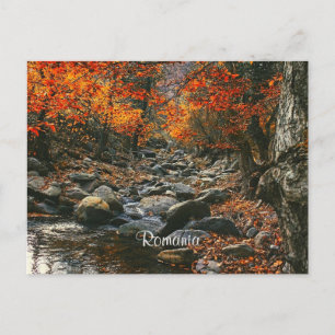 Cartão Postal Foto da paisagem da Romênia