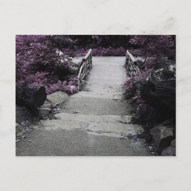 Cartão Postal Foto da ponte de paisagem branca e preta (Frente)