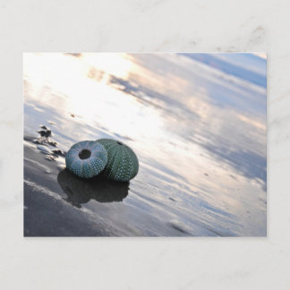 Cartão Postal Foto da praia