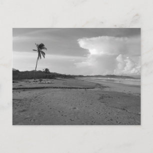 Cartão Postal Foto da Praia da Costa Rica com Palmeira 