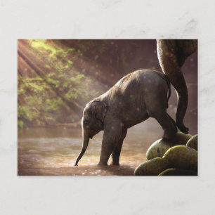 Cartão Postal Foto de Água do Bebendo de Elefante para Bebês