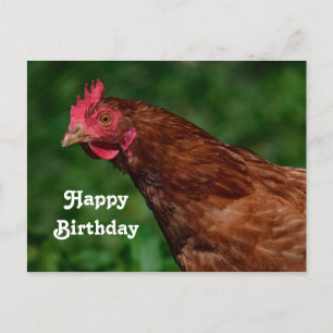 Cartão Postal Foto de Aniversário de Frango Vermelho Bonito