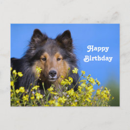 Cartão Postal Foto de aniversário floral de Sheltie