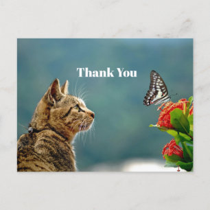 Cartão Postal Foto de Borboleta de Gato Atigrado Fofo Obrigado