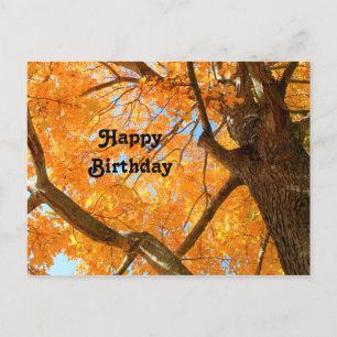 Cartão Postal Foto de Bordo Amarelo de Outono de Aniversário