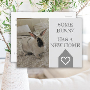 Cartão Postal Foto de Bunny que movemos   Novo lançamento