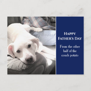 Cartão Postal Foto de Cachorro Branco Bonito com Azul de Melhor