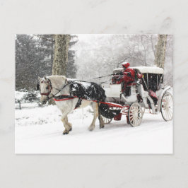Cartão Postal Foto de Cavalo e Buggy no Central Park Winter
