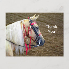 Cartão Postal Foto de Cavalo Palomino Bonito Obrigado