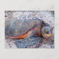 Foto de close-up da tartaruga marinha havaii honu