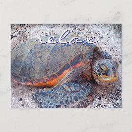 Cartão Postal Foto de close-up da tartaruga marinha havaii honu