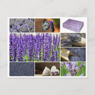 Cartão Postal Foto de colagem de lavanda tropical
