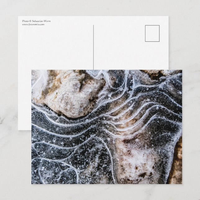 Cartão Postal Foto de cristal de gelo (Frente/Verso)