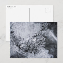 Cartão Postal Foto de cristal de gelo