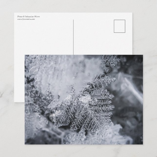Cartão Postal Foto de cristal de gelo (Frente/Verso)