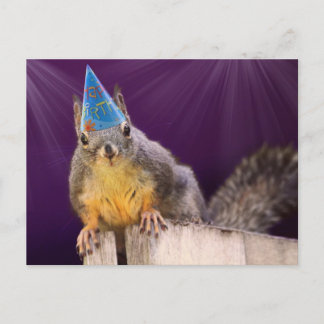 Cartão Postal Foto de Esquilo de Aniversário