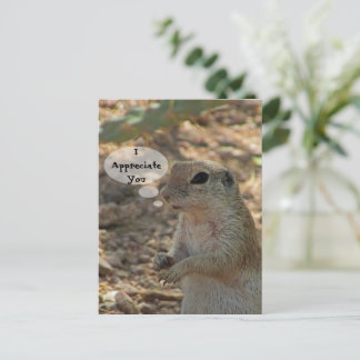 Cartão Postal Foto de Esquilo Terrestre - Animal do Deserto que