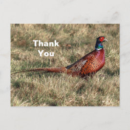 Cartão Postal Foto de Faisão Obrigado