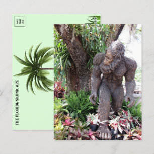 Cartão Postal Foto de Florida Skunk Ape