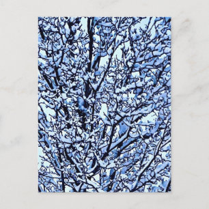 Cartão Postal Foto de Galhos de Árvore de Inverno Cobertos de Ne