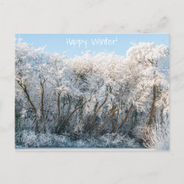Cartão Postal Foto de inverno da Paisagem de Neve