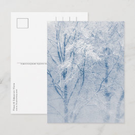 Cartão Postal Foto de inverno de árvores cobertas de neve