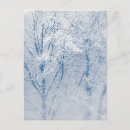 Cartão Postal Foto de inverno de árvores cobertas de neve