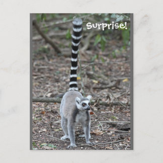 Cartão Postal Foto De Limur Com Forma De Ring