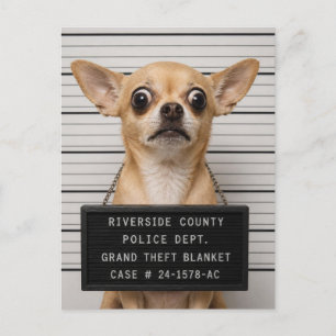 Cartão Postal Foto de Mugshot de Chihuahua: Grande Roubo de Cobe
