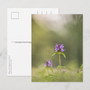 Cartão Postal Foto de natureza autorrecuperável comum