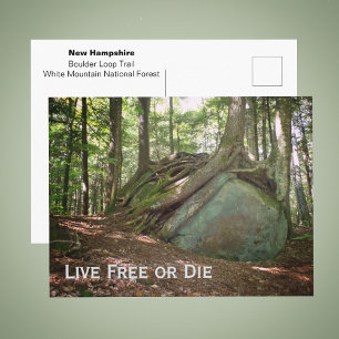 Cartão Postal Foto de New Hampshire 'Viva Livre ou Morra'