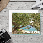 Cartão Postal Foto de oliveira do Mediterrâneo Croácia<br><div class="desc">Cartão postal de oliveira do Mar Mediterrâneo Croácia</div>