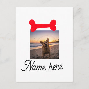 Cartão Postal Foto de osso de cachorro vermelho presente de cach