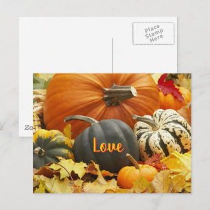 Cartão Postal Foto de outono de outono deixa Pumpkins