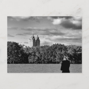 Cartão Postal Foto de Paisagem do Parque Central Negro e Branco