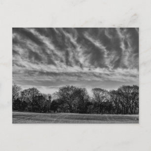 Cartão Postal Foto de Paisagem Negra e Branca do Central Park