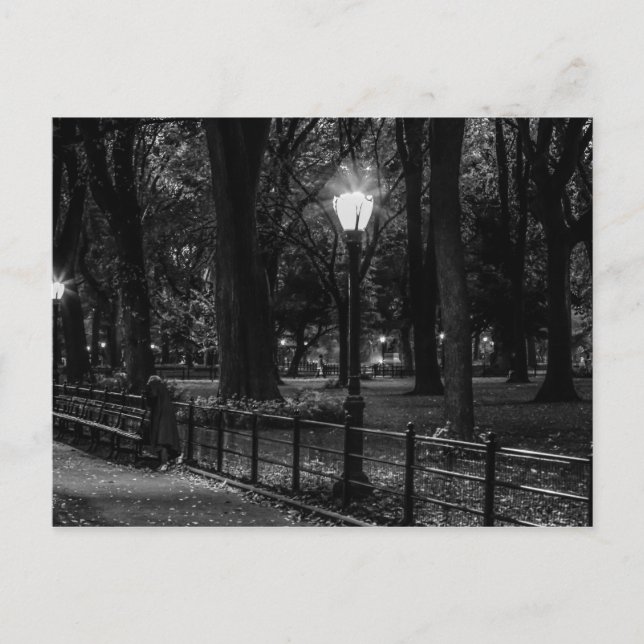 Cartão Postal Foto de Paisagem Negra e Branca do Central Park (Frente)