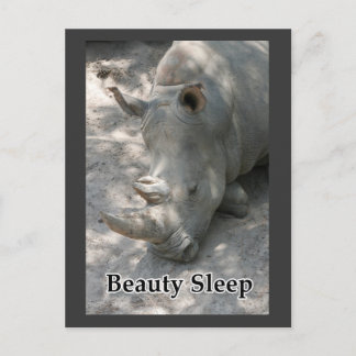 Cartão Postal Foto de Rhino com texto "Beauty Sleep"