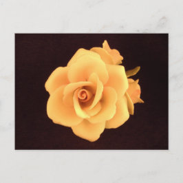 Cartão Postal Foto de Rosa Amarela 2004