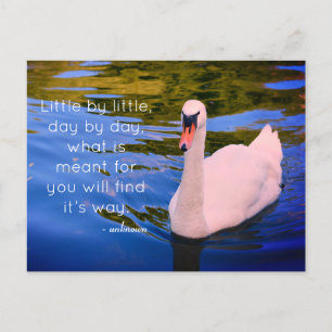 Cartão Postal Foto de Swan Branco com Cotação Motivacional