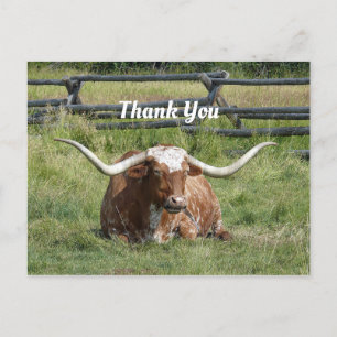 Cartão Postal Foto de Vaca Texas Longhorn Obrigado