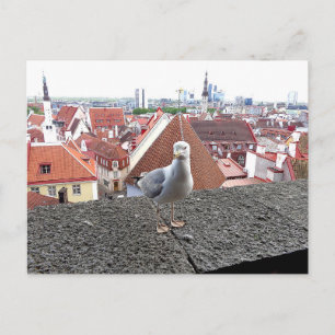 Cartão Postal Foto de viagem. Estônia, Tallinn