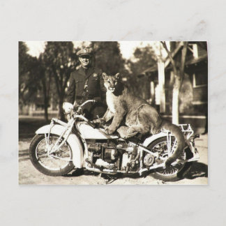 Cartão Postal foto de vintage do policial em puma de motocicleta