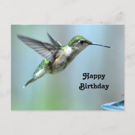 Cartão Postal Foto de Voo do Beija-flor Verde Aniversário Vida S