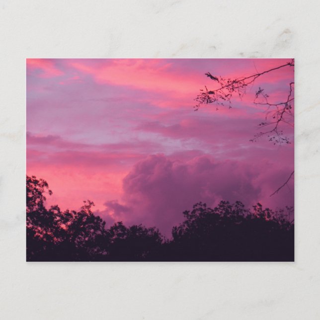 Cartão Postal Foto do céu do sol nascente, rosa e roxo (Frente)