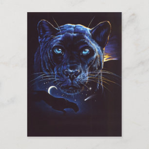 Cartão Postal Foto do Leopard da meia-noite