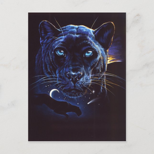 Cartão Postal Foto do Leopard da meia-noite (Frente)