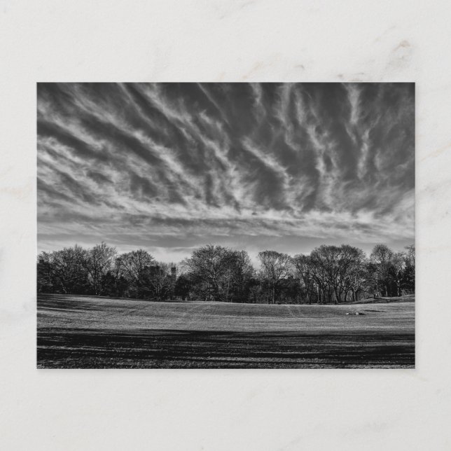 Cartão Postal Foto do Parque Central da Paisagem Preta e Branca (Frente)
